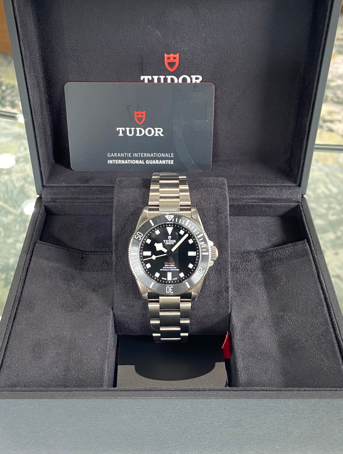 2023 Tudor Pelagos 39 25407N Watch