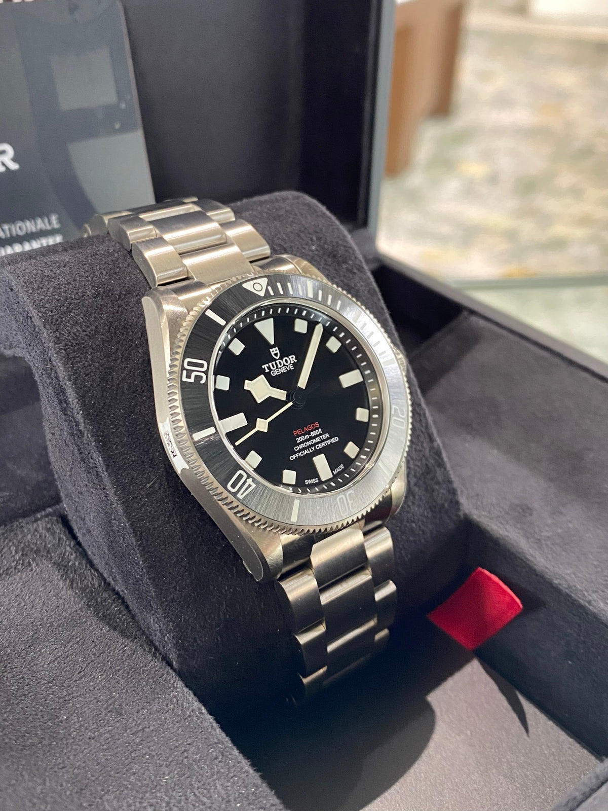 2023 Tudor Pelagos 39 25407N Watch