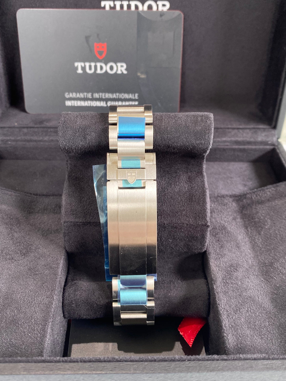 2023 Tudor Pelagos 39 25407N Watch