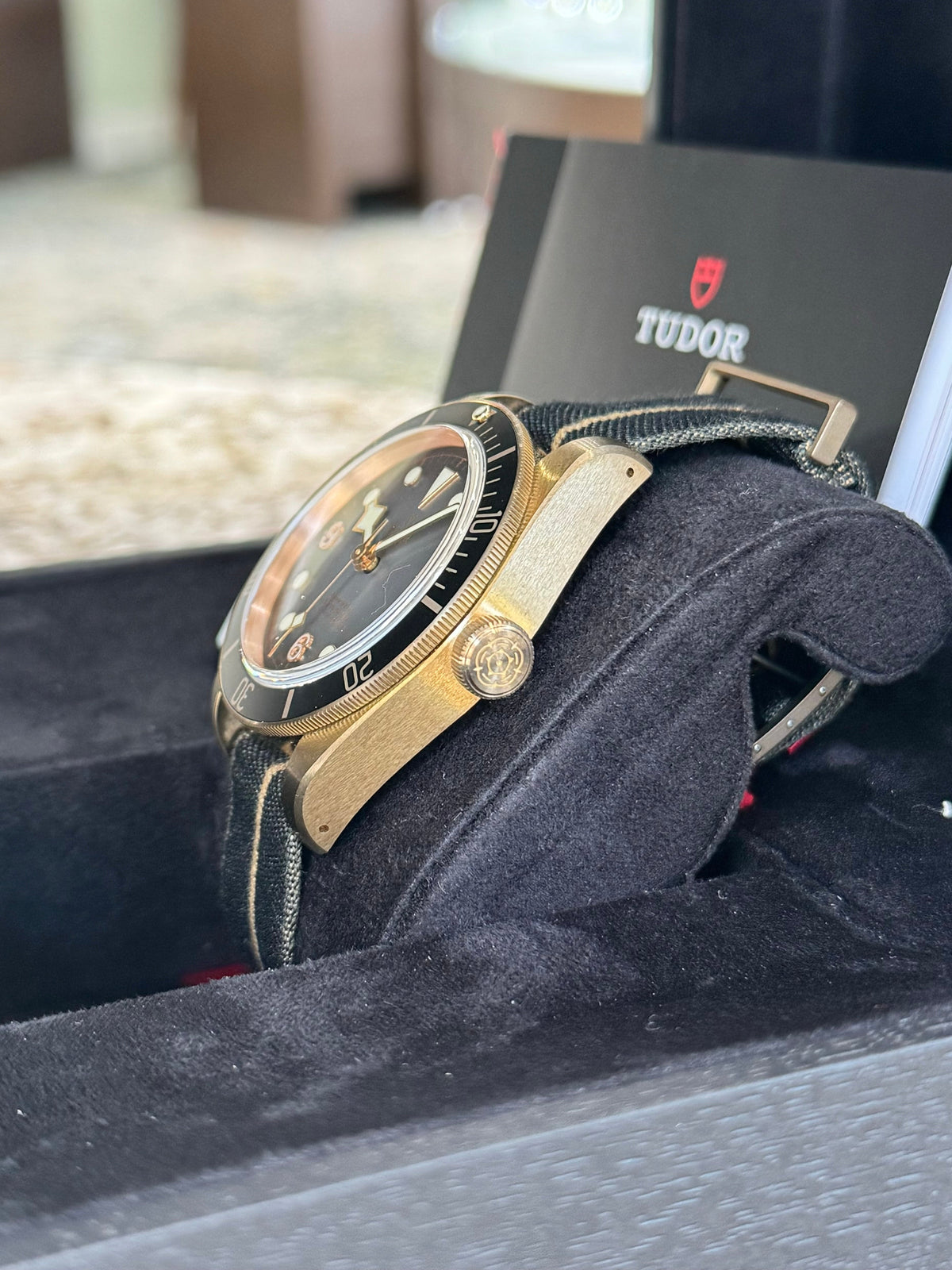 2024 Tudor Black Bay Bronze Watch