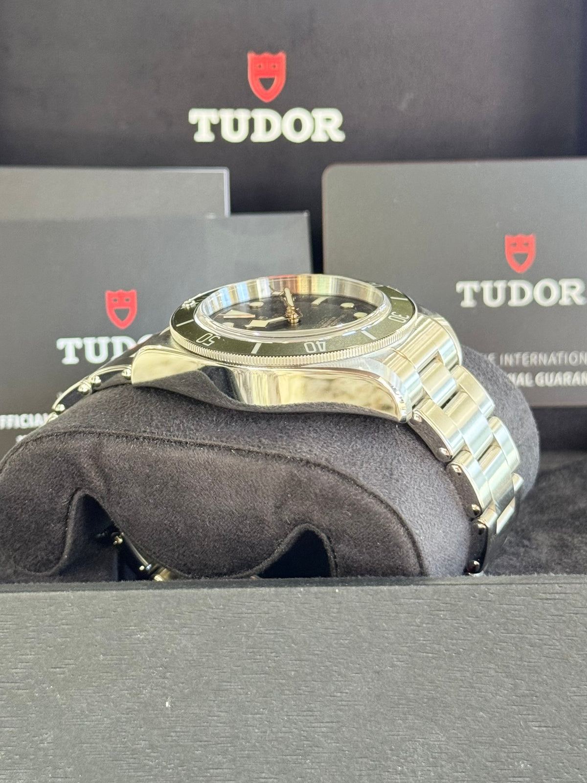 2023 Tudor Black Bay Harrods Watch