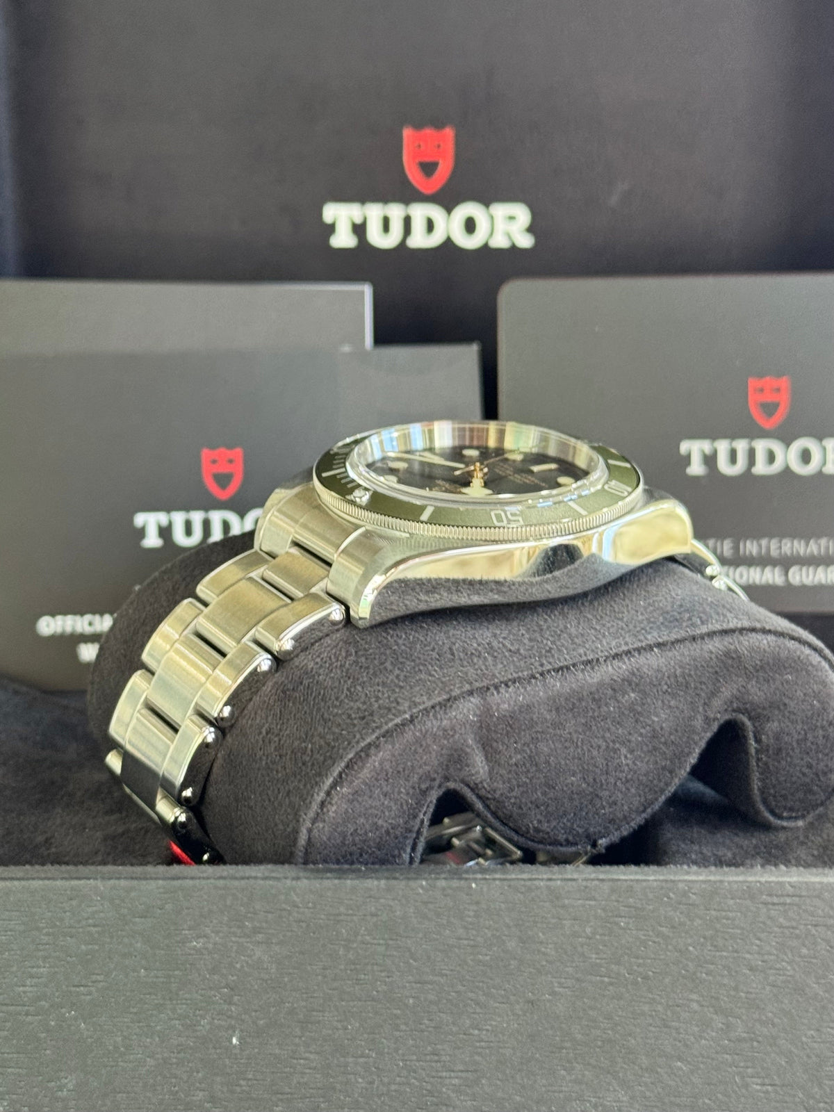 2023 Tudor Black Bay Harrods Watch