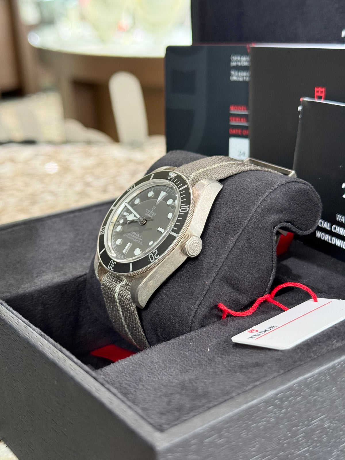 2021 Tudor Black Bay 58 925 Watch