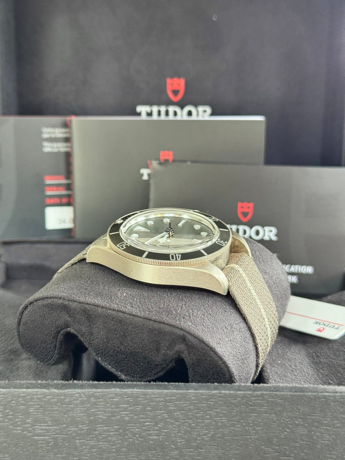 2021 Tudor Black Bay 58 925 Watch