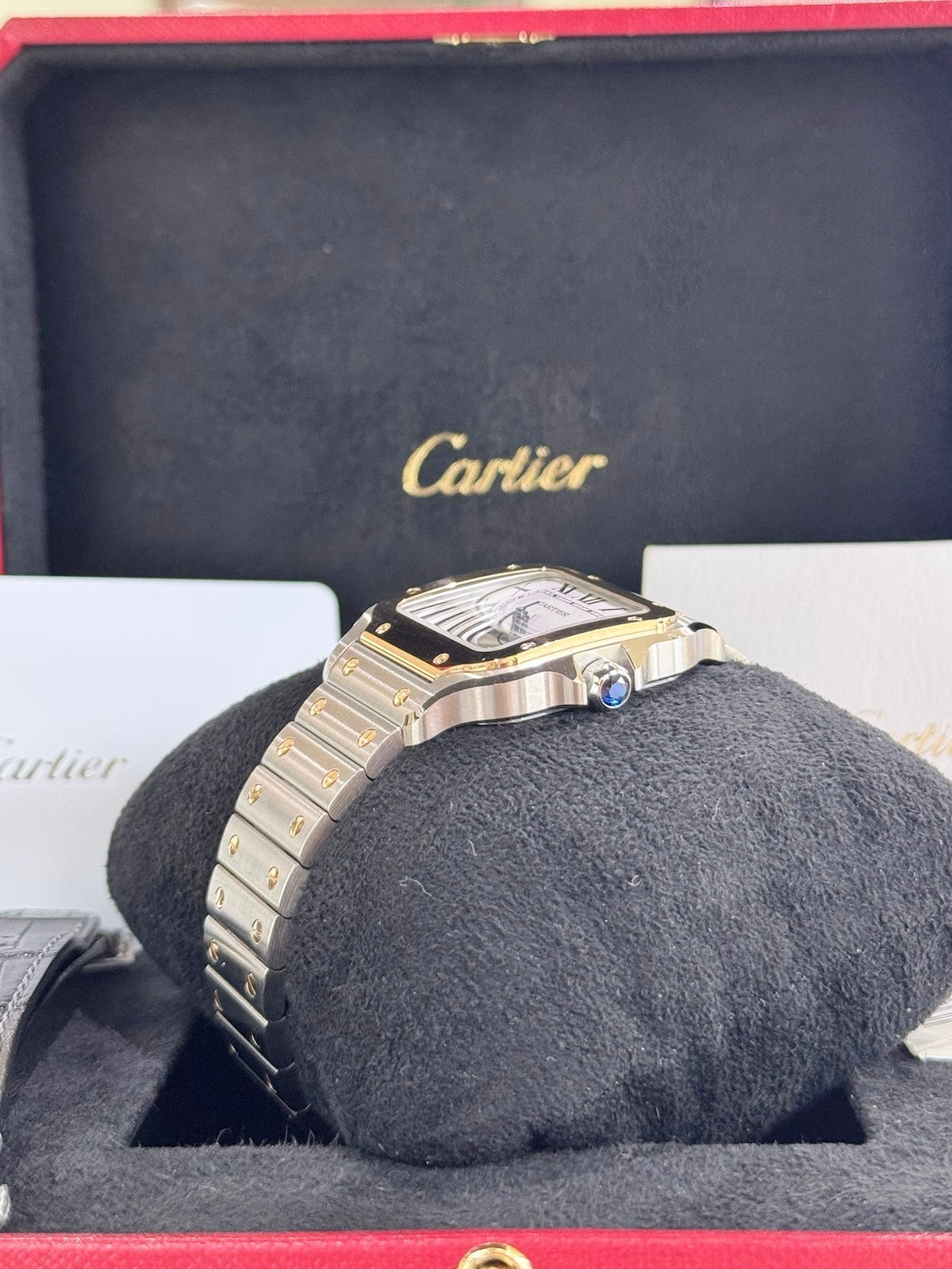 2024 Santos de Cartier W2SA0016 Watch